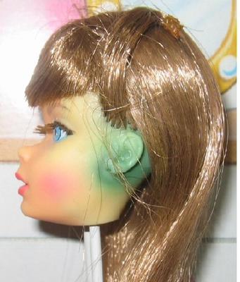 All about Barbie Doll Green Ear questions about and how to treat